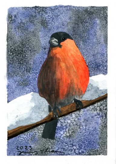 Dompfaff im Schnee, Aquarell-Gemälde
