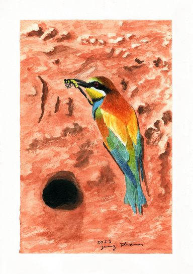 Aquarellbild mit Bienenfresser an einer Lehmwand mit Höhle