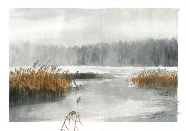 ein winterlicher See mit Schilf
