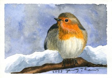 Rotkehlchen im Schnee, Aquarell-Postkarte