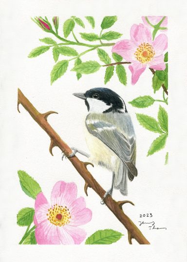 Eine mit Aquarell gemalte Tannenmeise inmitten von Wildrosen