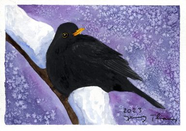 Amsel im Schnee, Aquarellmalerei