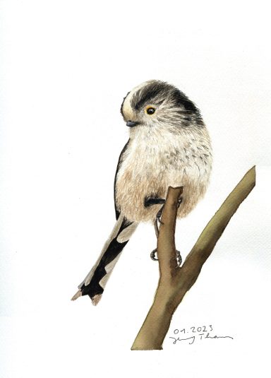 Aquarellmalerei von einer Schwanzmeise